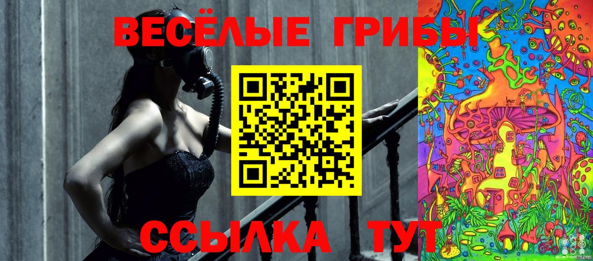 Псилоцибиновые грибы Cubensis  Галлюциногенные грибы Cubensis  Вход с VPN  Коряжма 