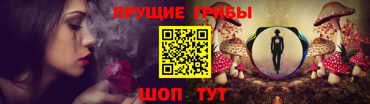 Псилоцибиновые грибы мицелий Коряжма